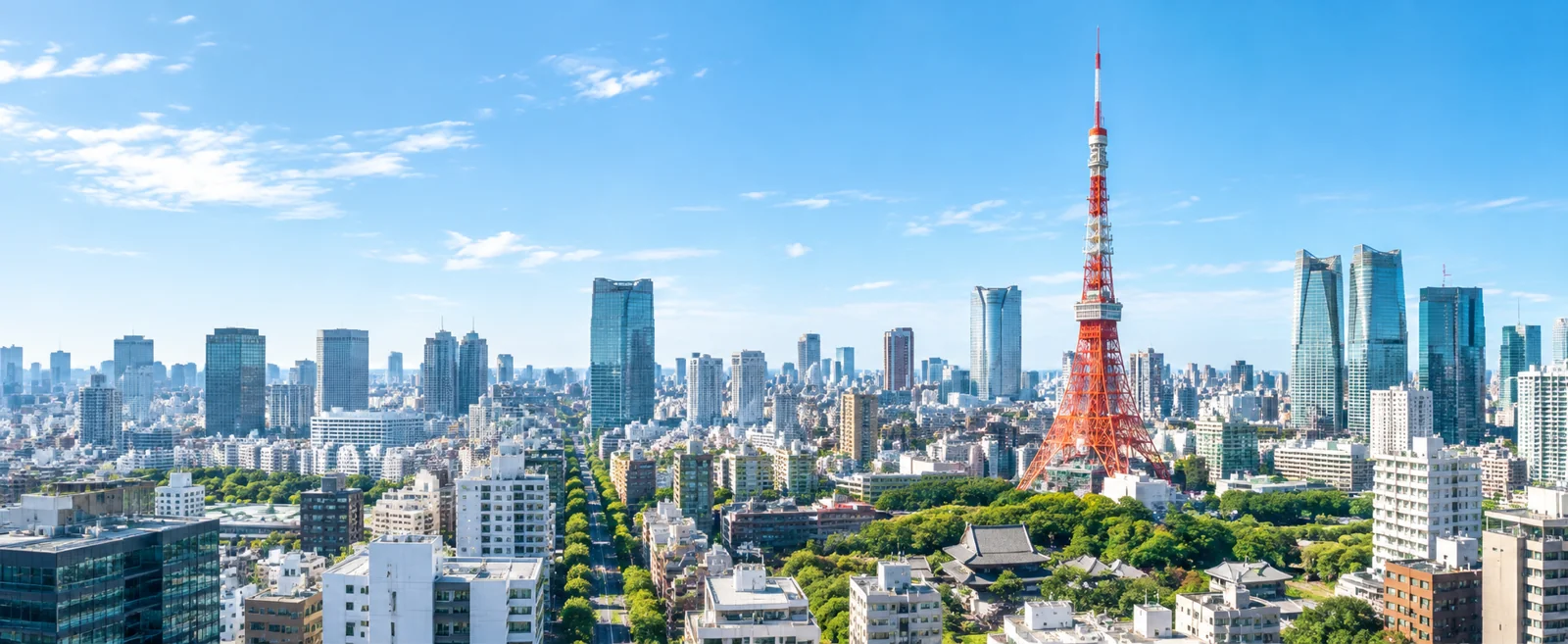 東京タワーが見える東京都心の街並み
